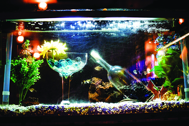 A wall of fish tanks line the dining room at Andy's Supper Club.